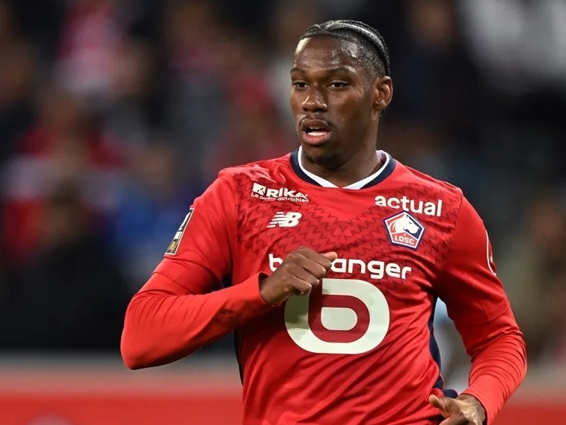 丹麦引入的 丹麦引入的