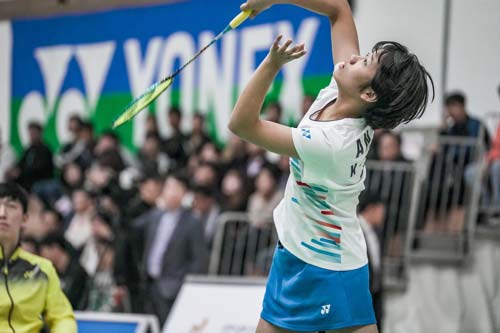 迅速发展的 迅速发展的